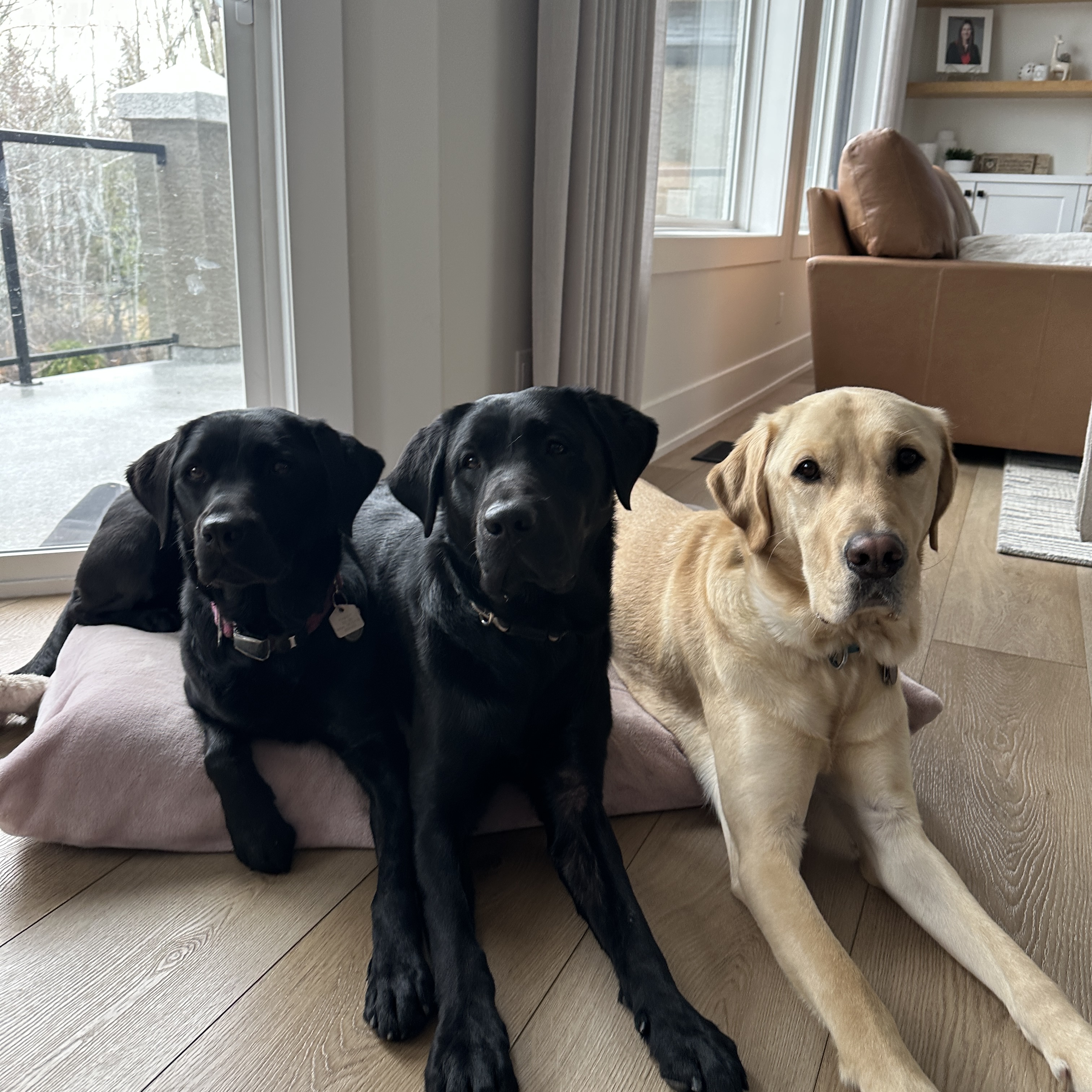 Chet Apr 2025 (middle)