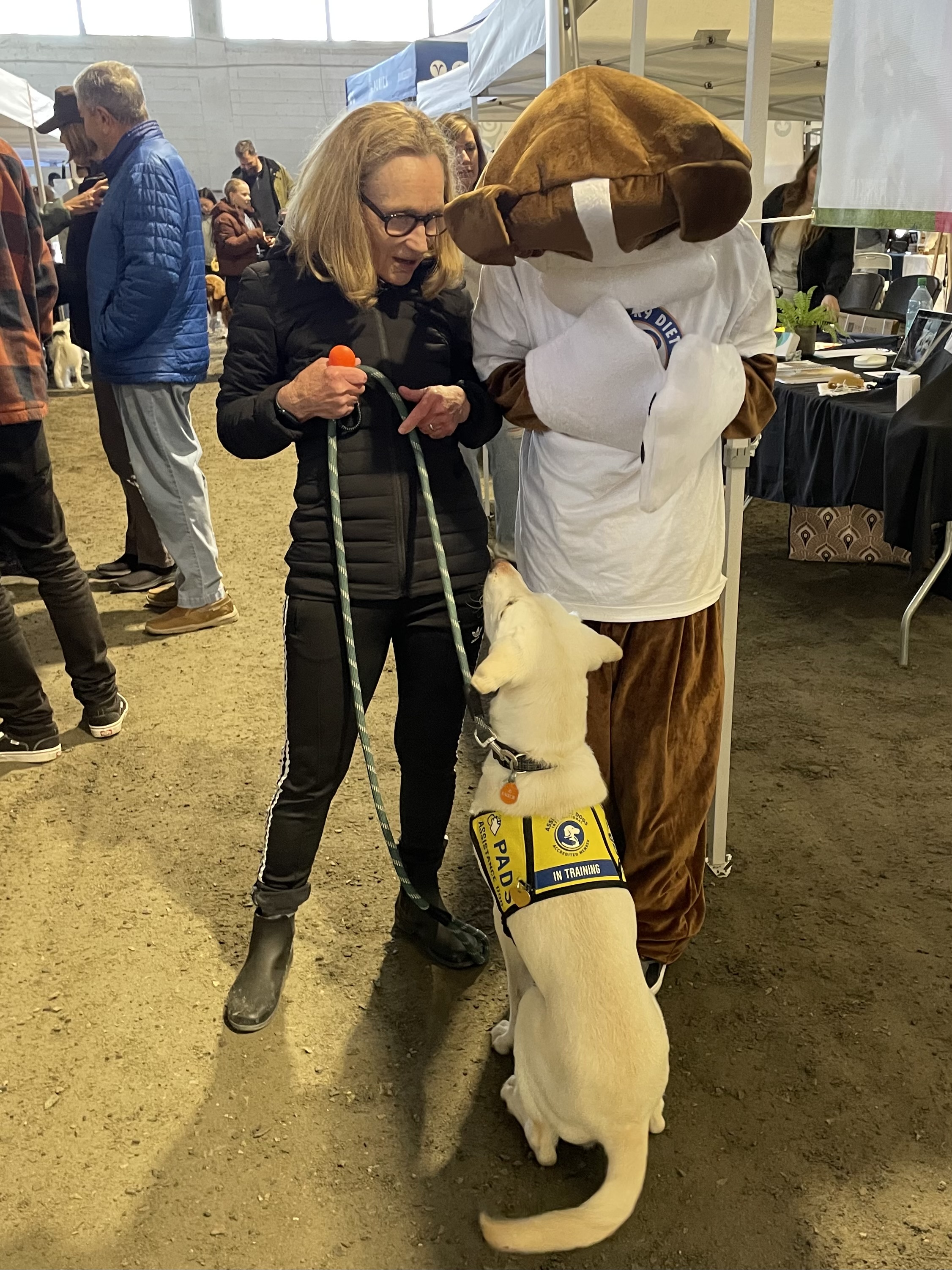 Falkor Apr 2025-6