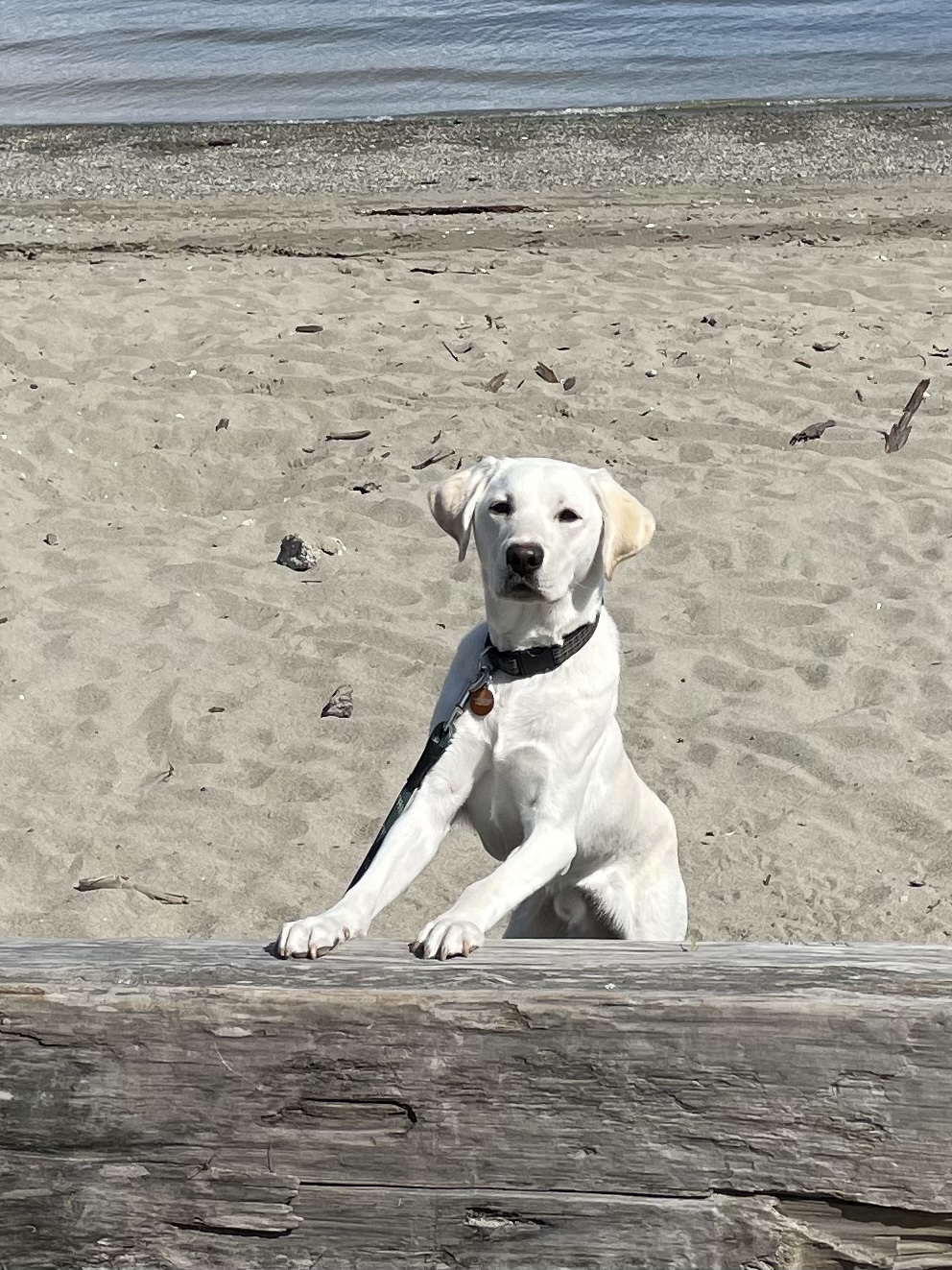 Falkor Apr 2025-9
