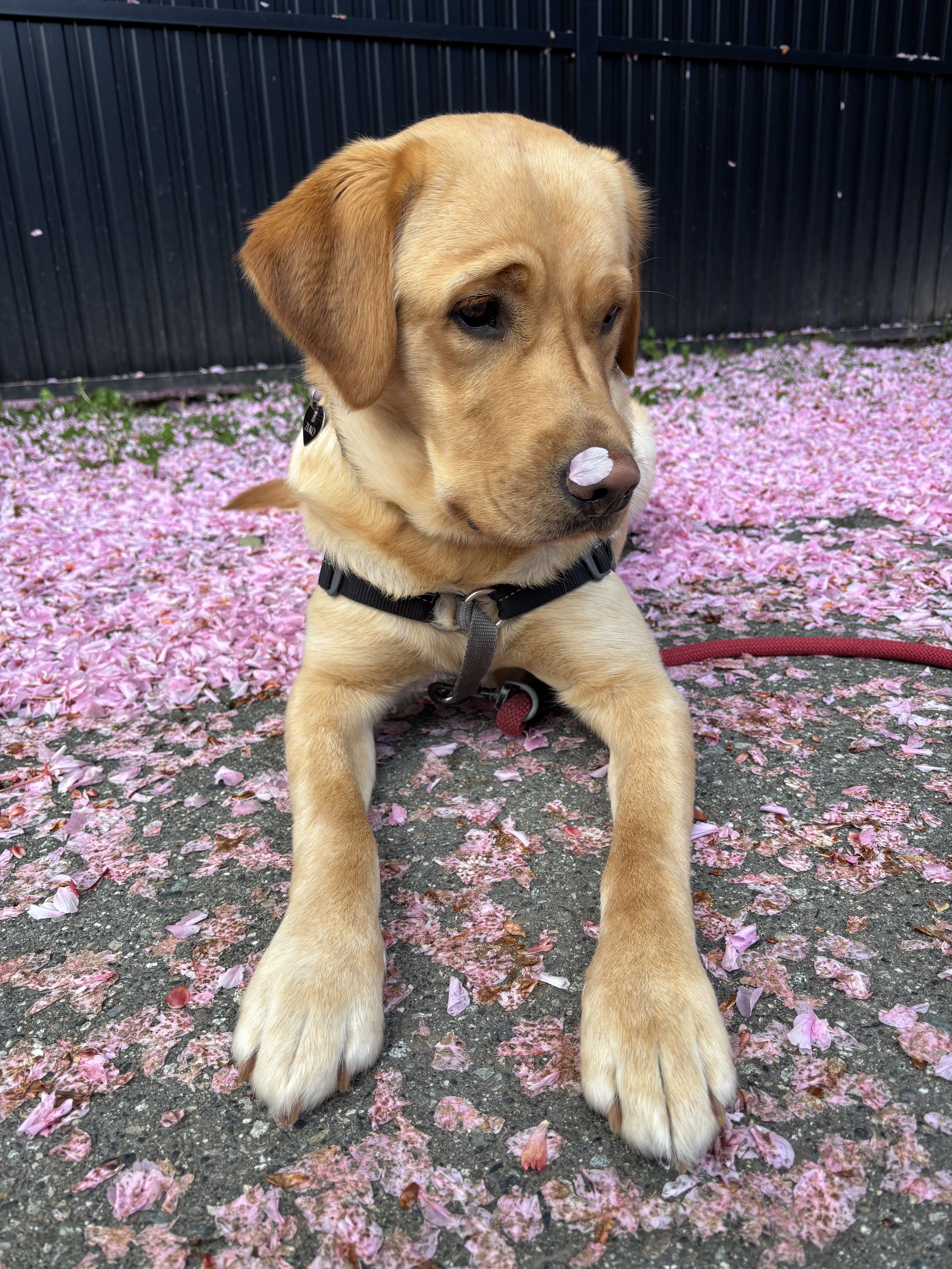Zuko Apr 2025