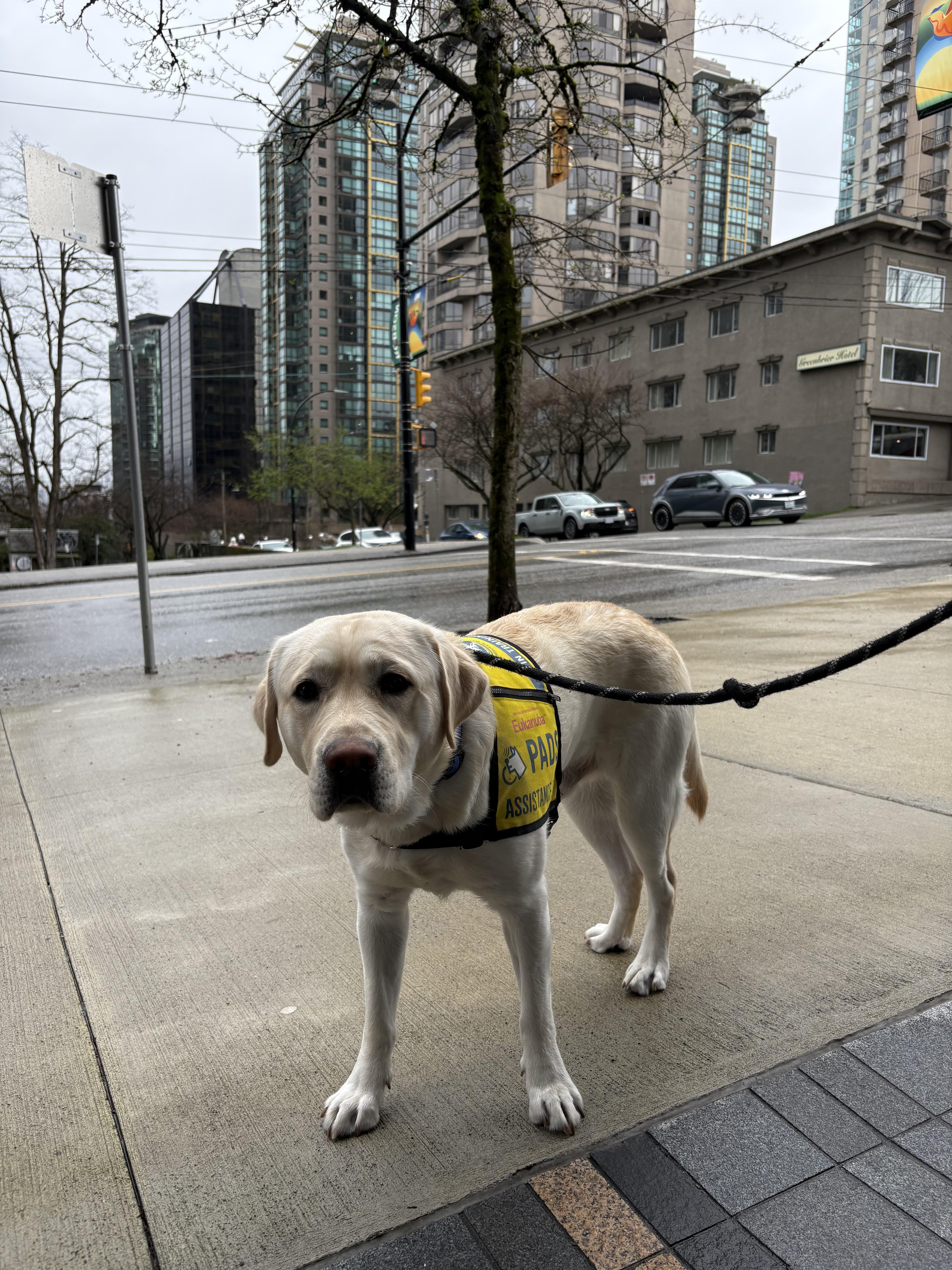 Bumble Mar 2025