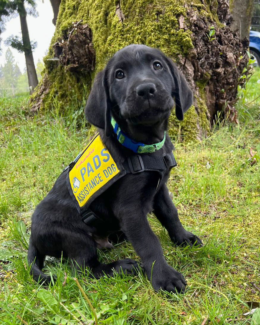 Max