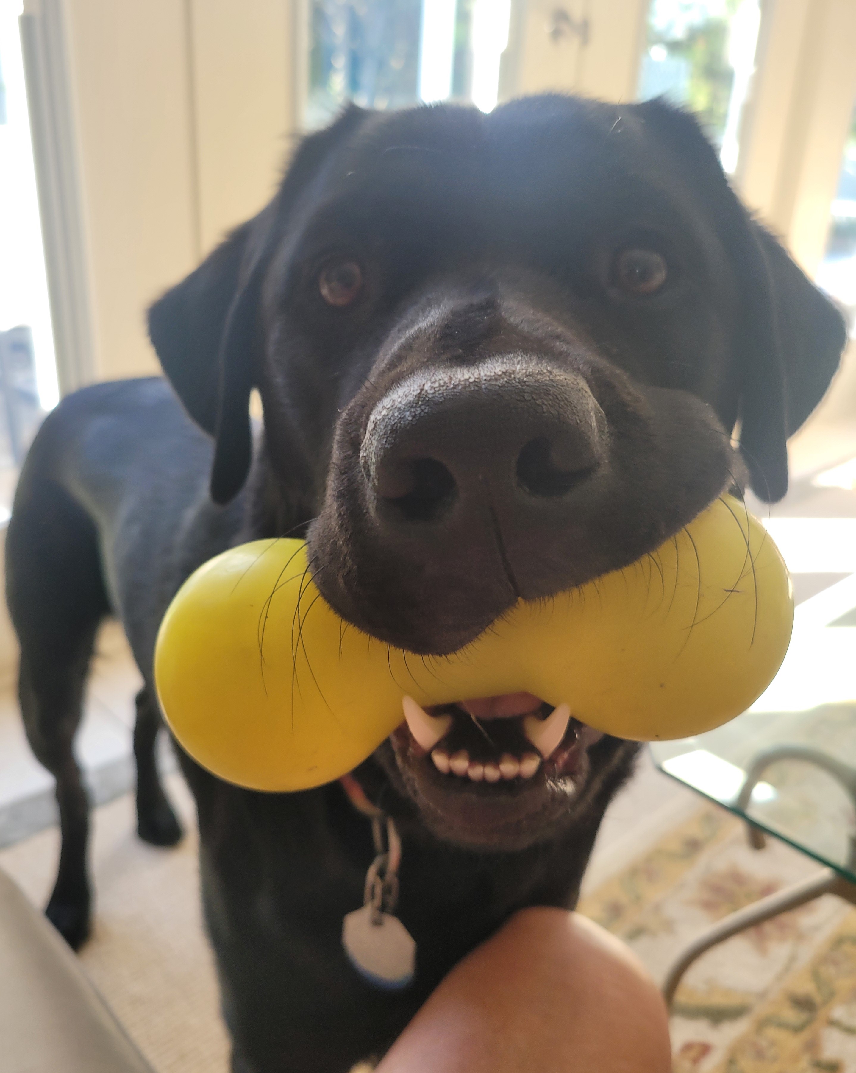 Digger May 2025