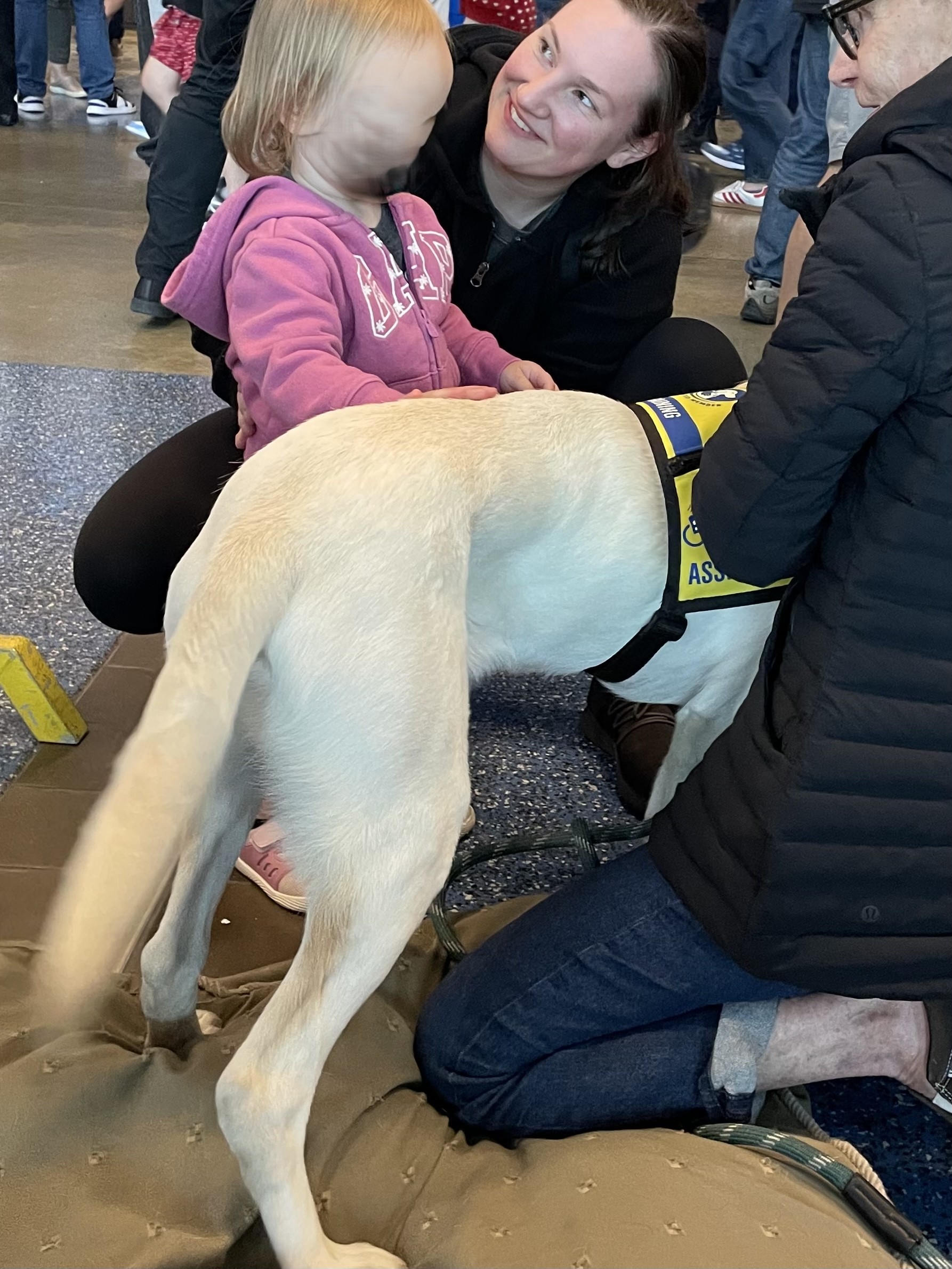 Falkor May 2025-1