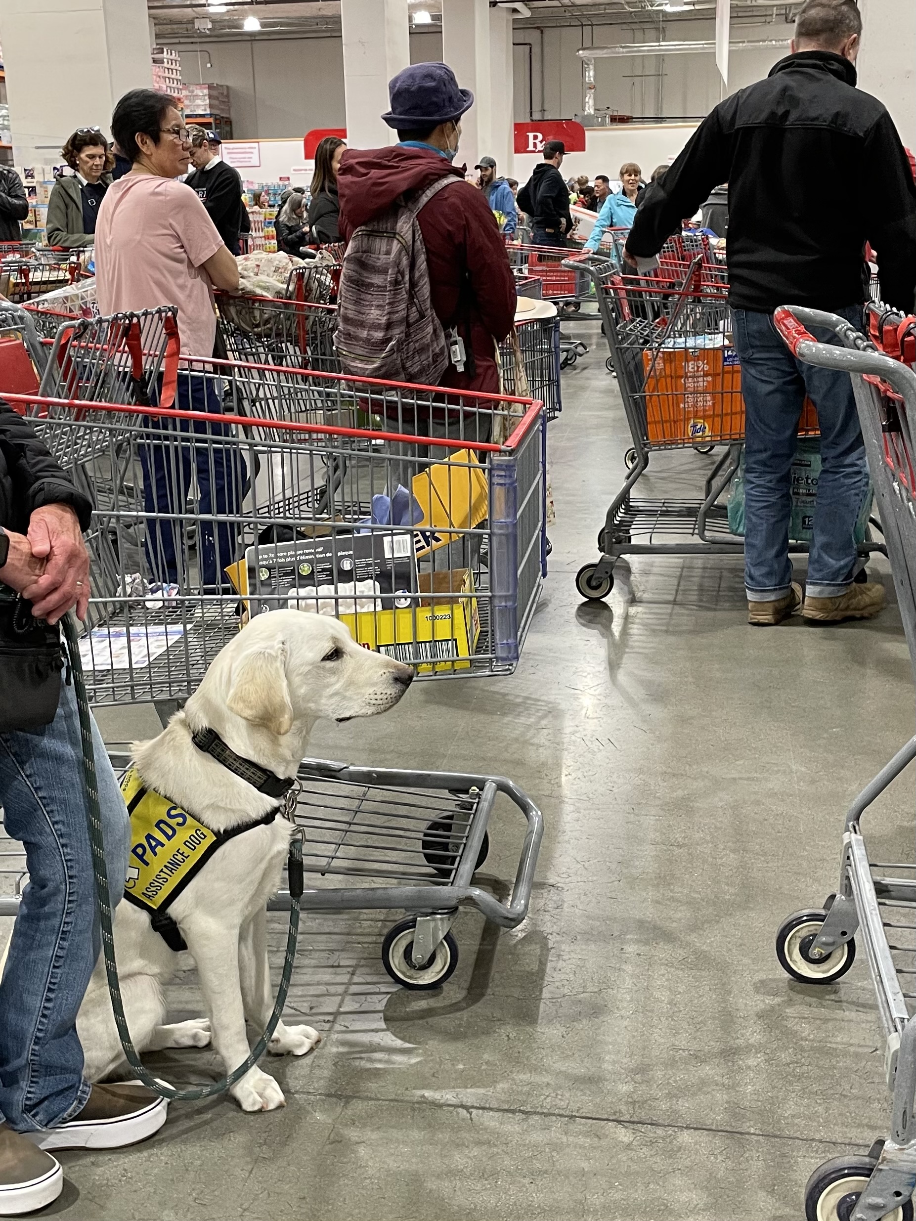 Falkor May 2025-5