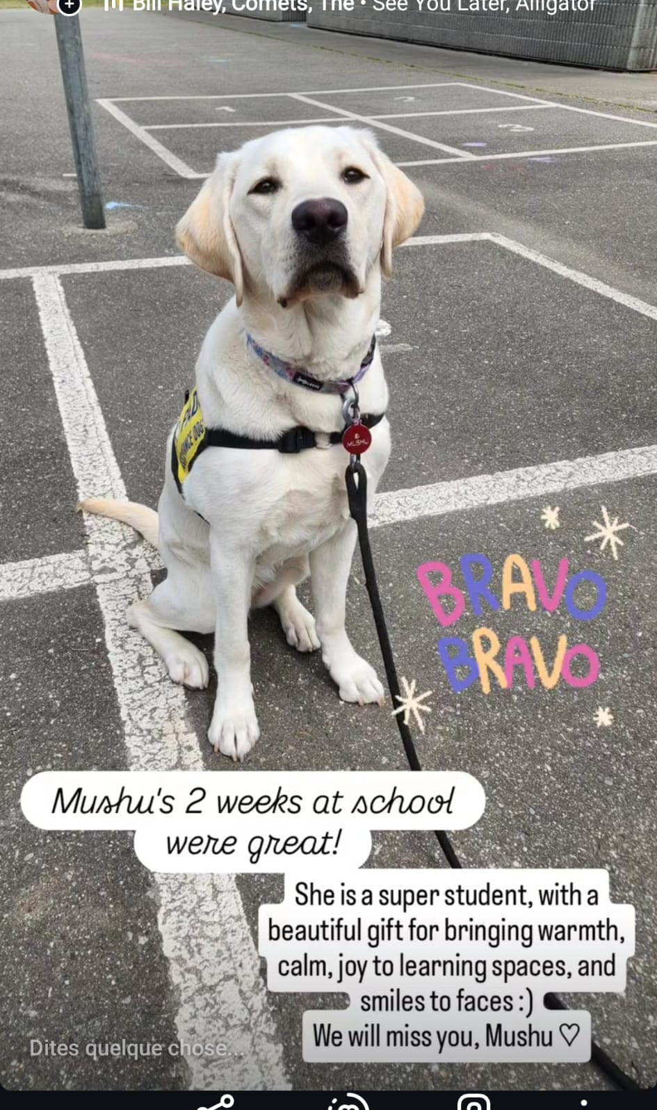 Mushu May 2025-1