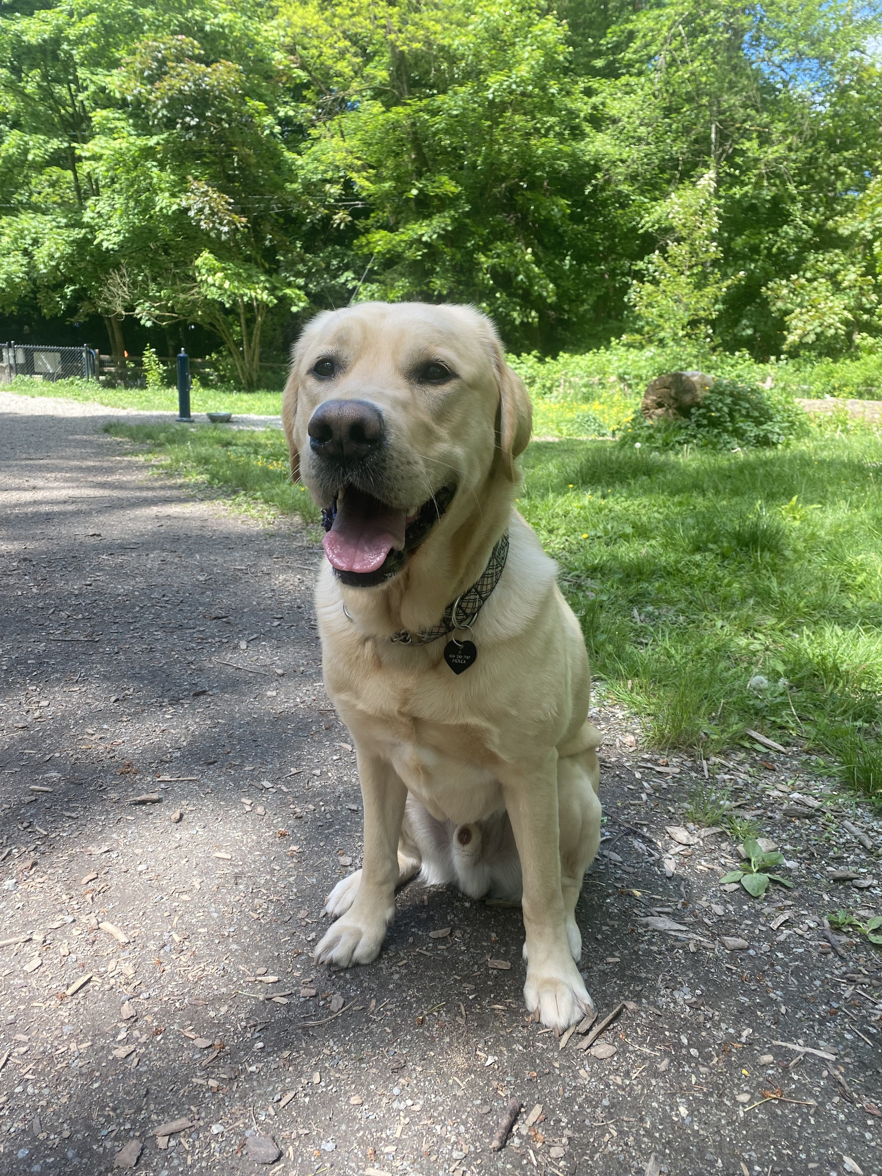 Waffle - May 2025