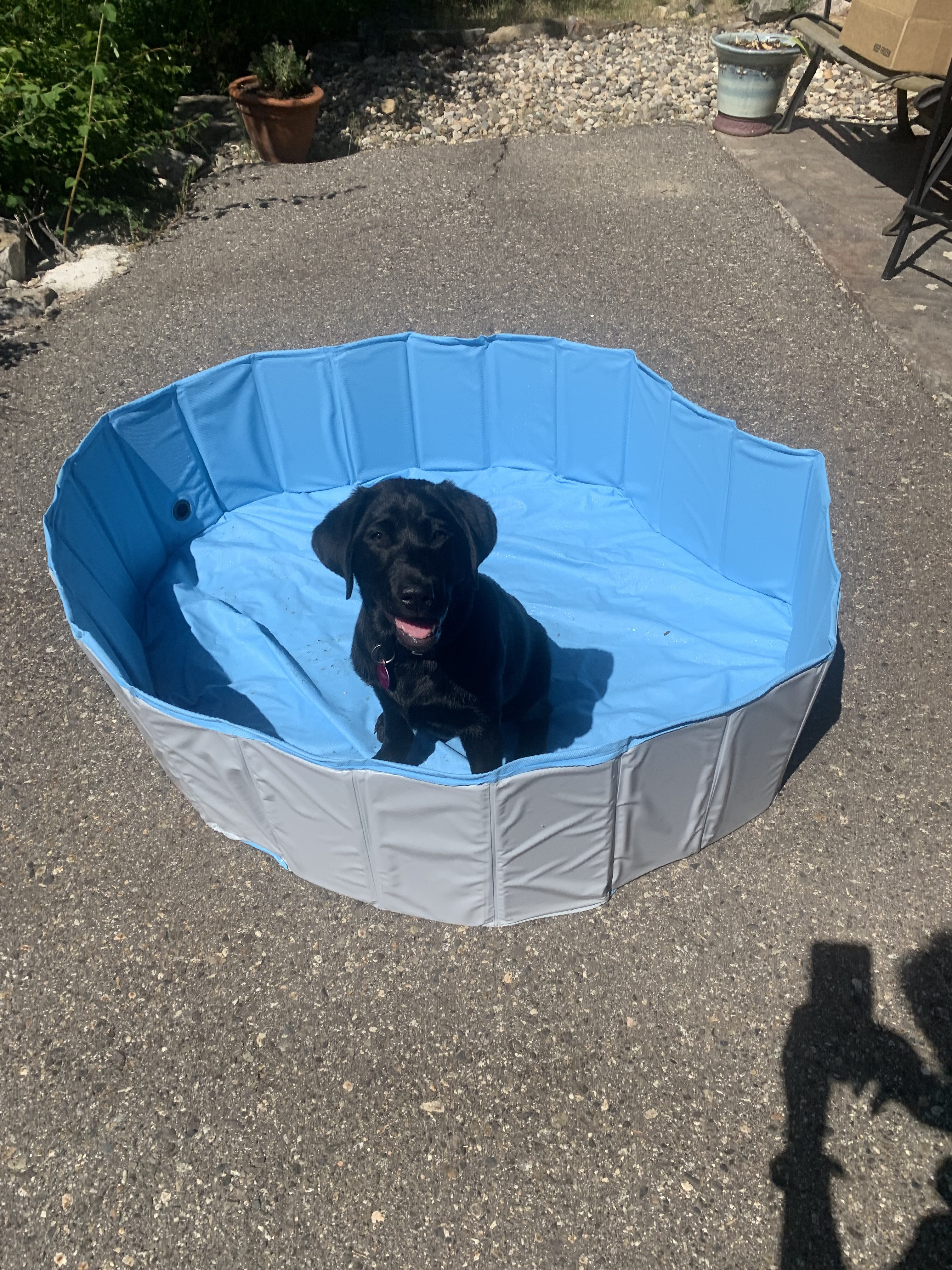 Belle IV June 2025