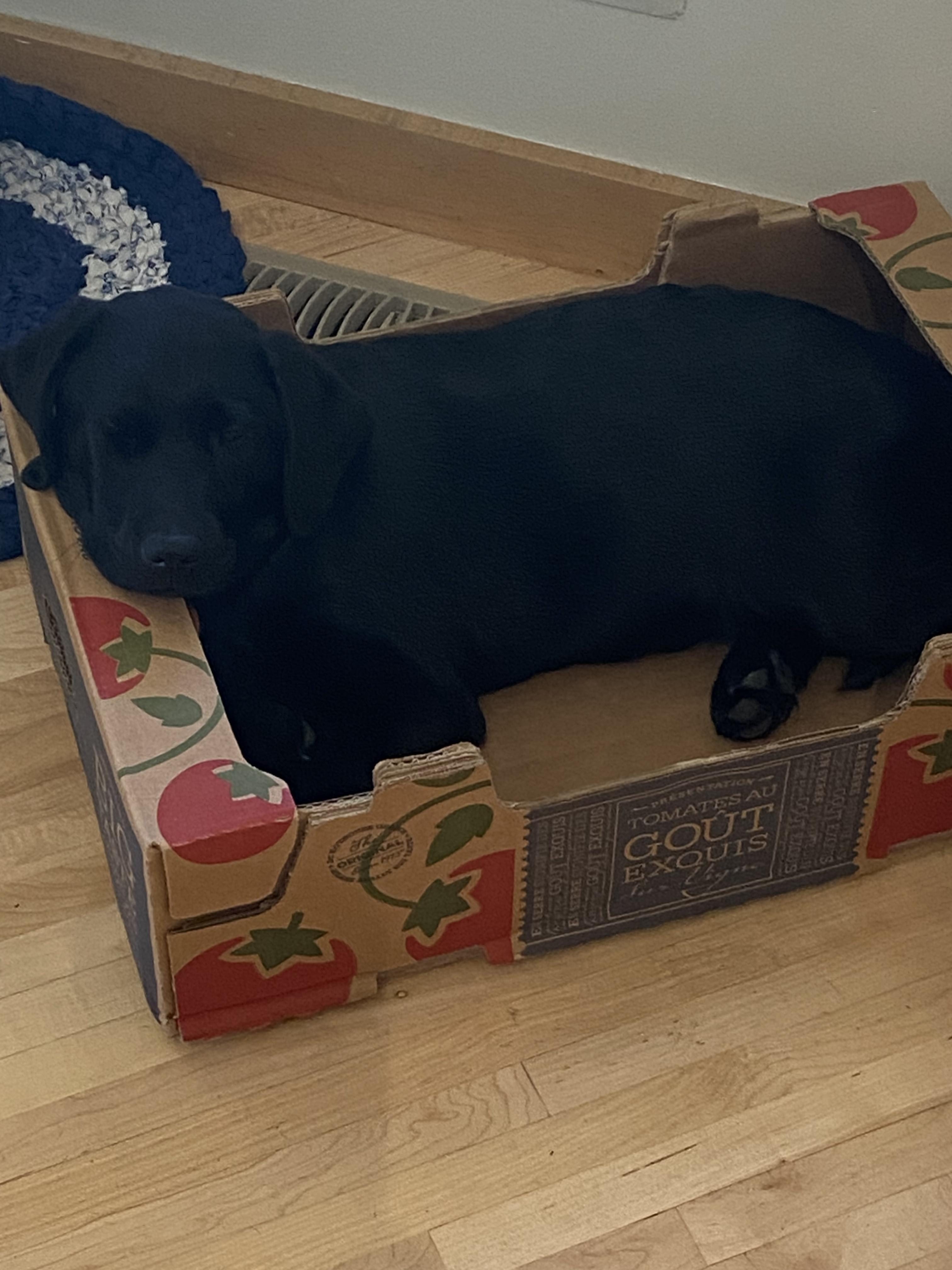 Coola June 2025-4
