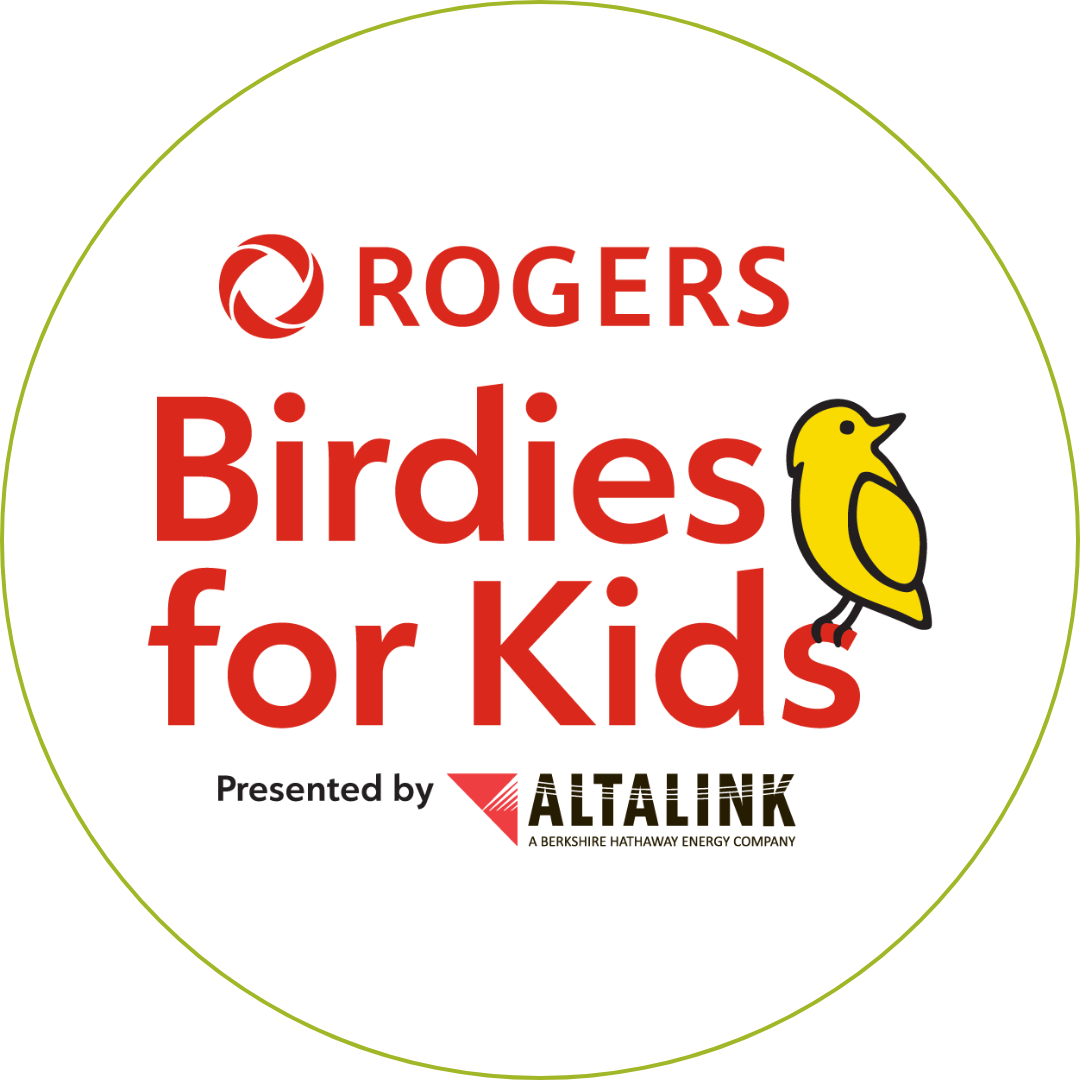 Birdies Logo
