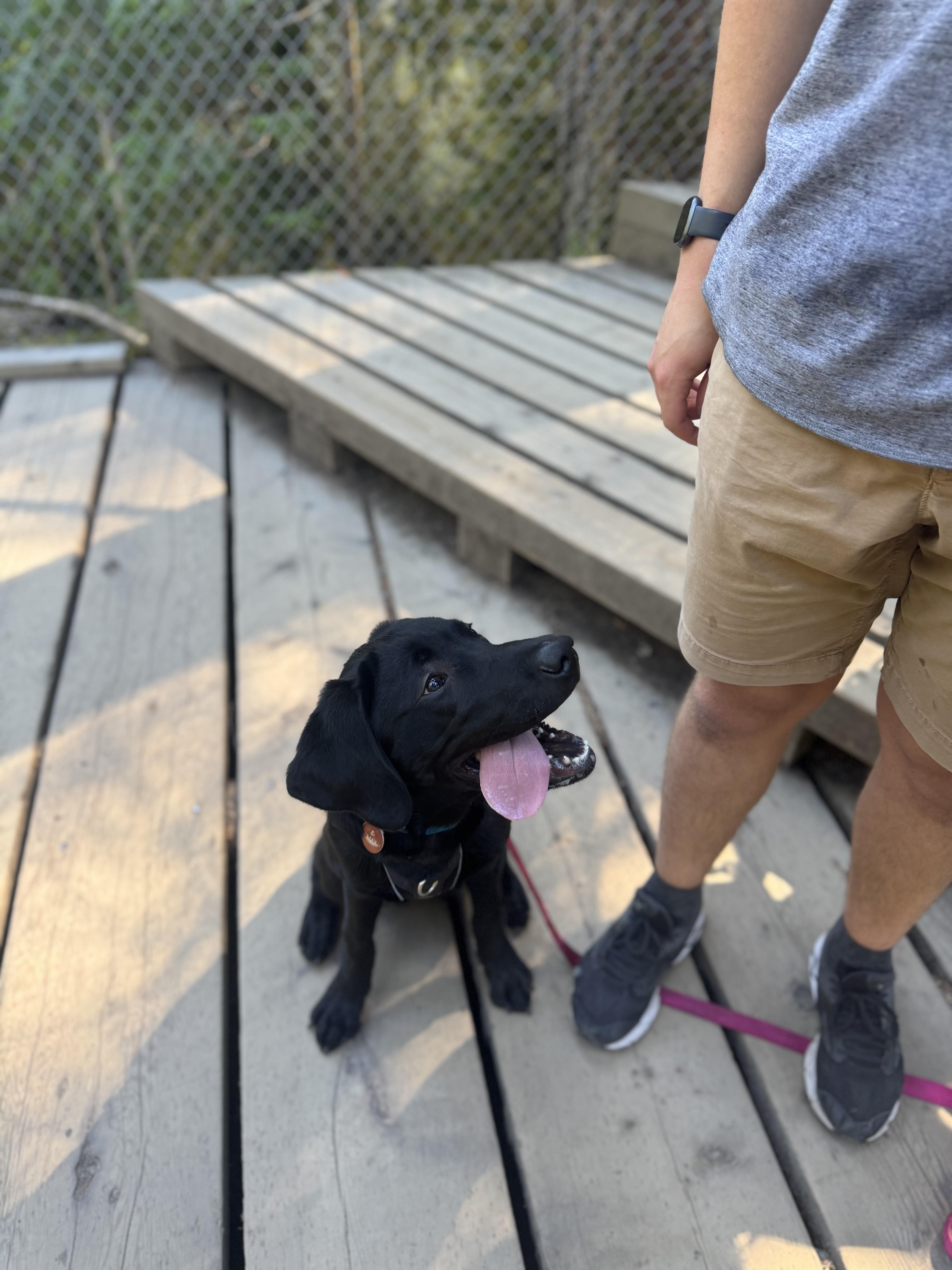 Max Aug 2025-1