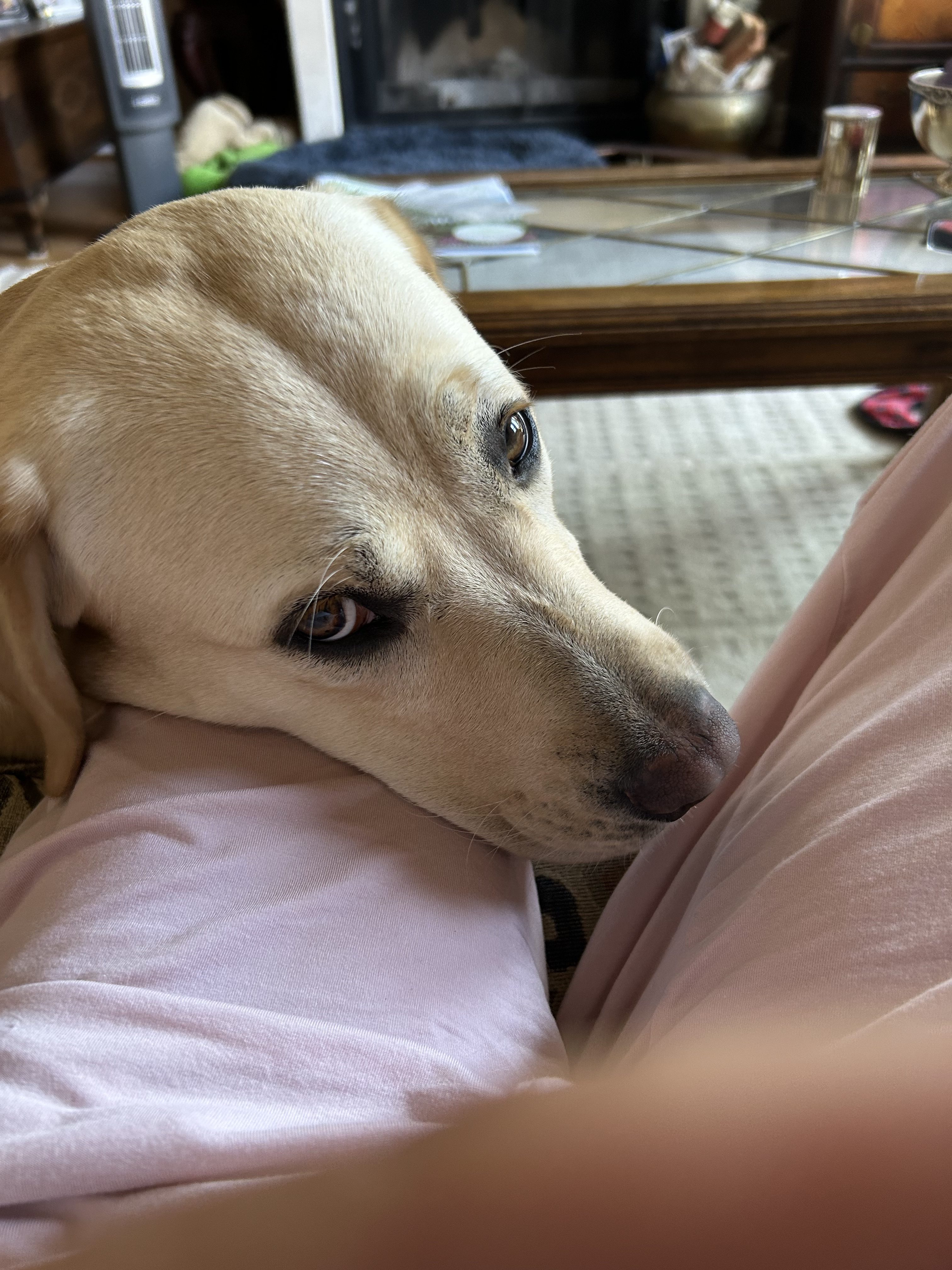 Toffee July 2025