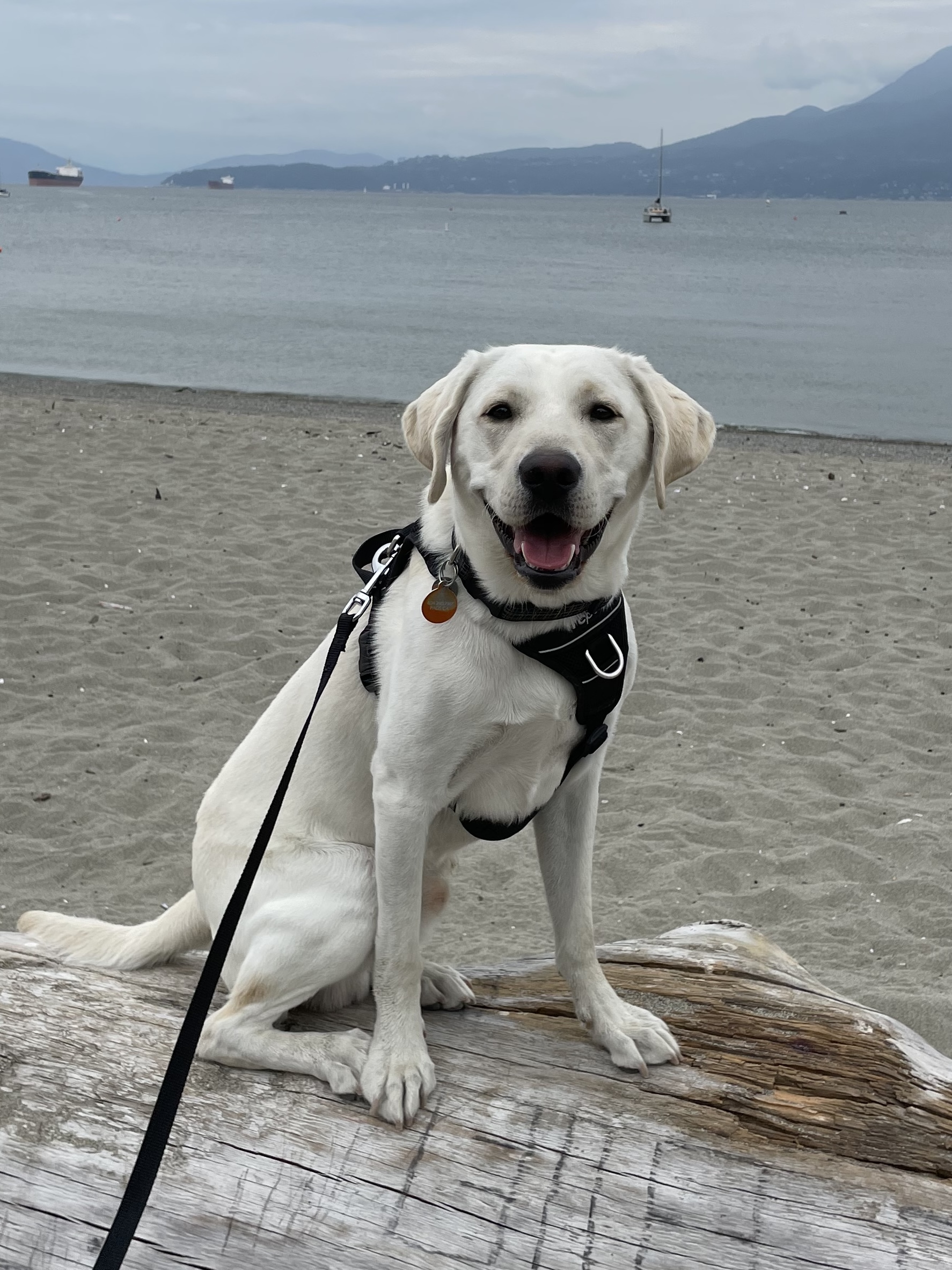 Falkor Aug 2025