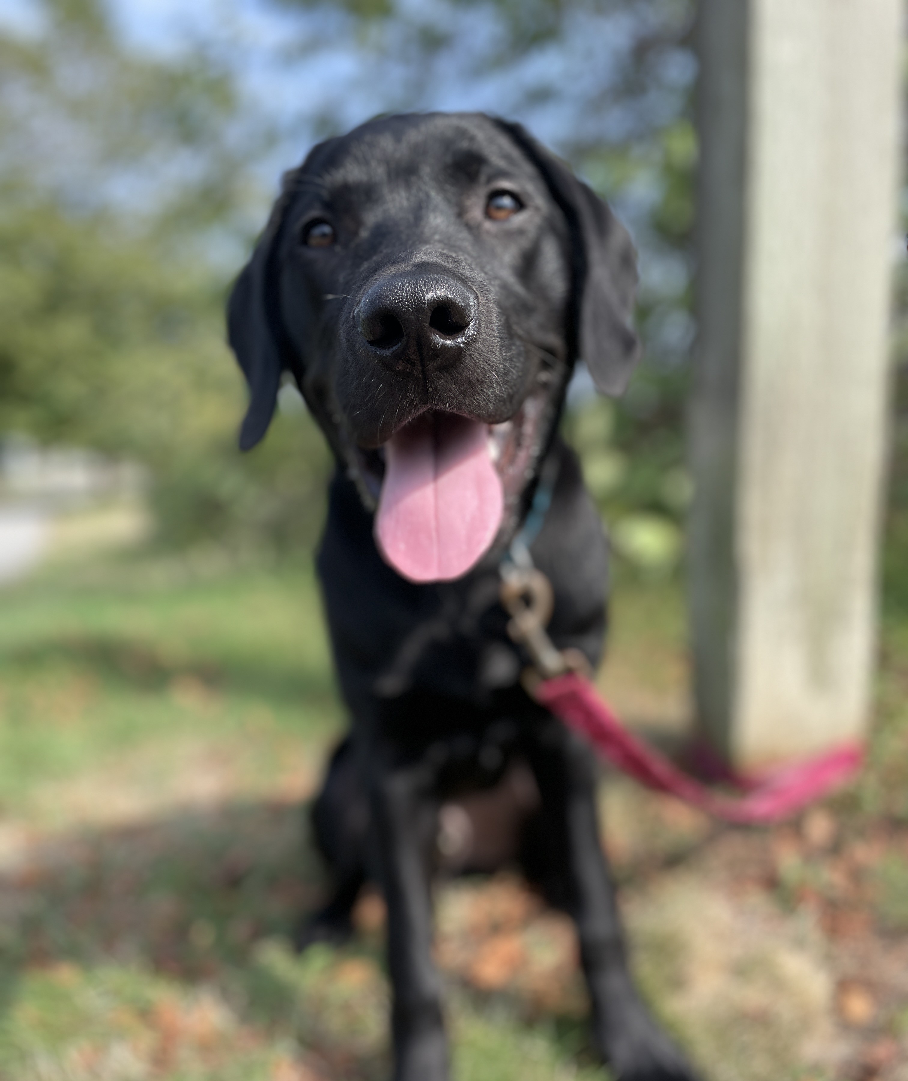 Max Aug 2025-2