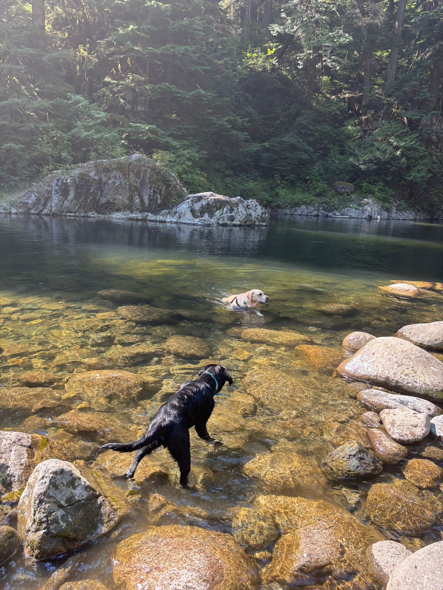 Donner II Aug 2025-9