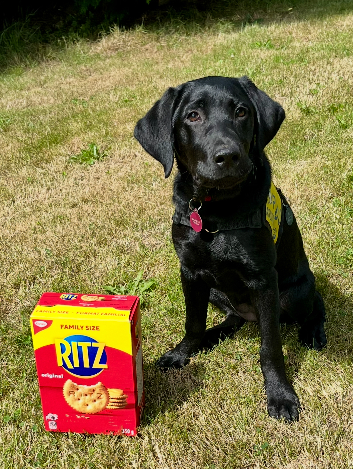 Ritz Aug 2025