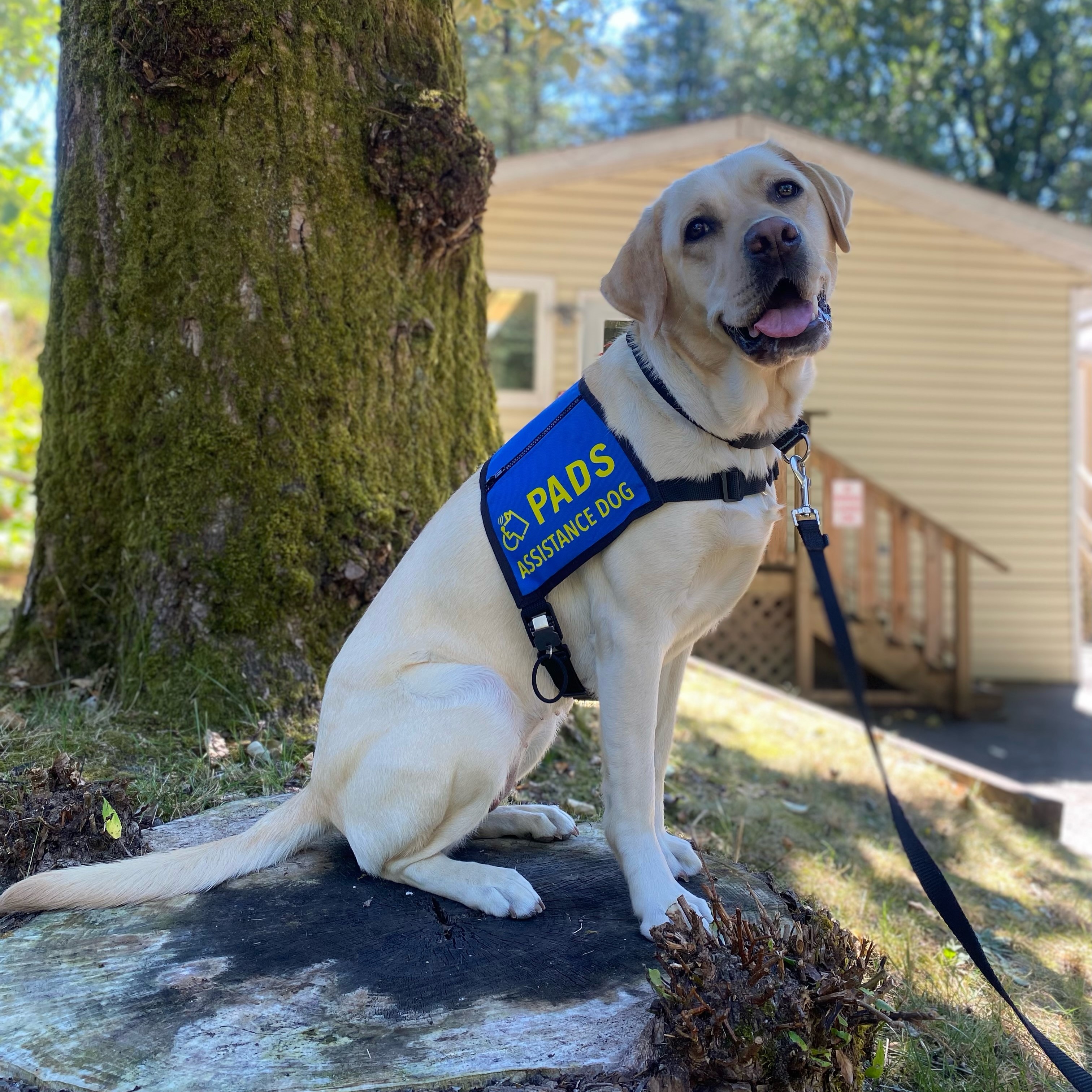 Keller - Turn-In Photo - Blue Vest - Aug 2025