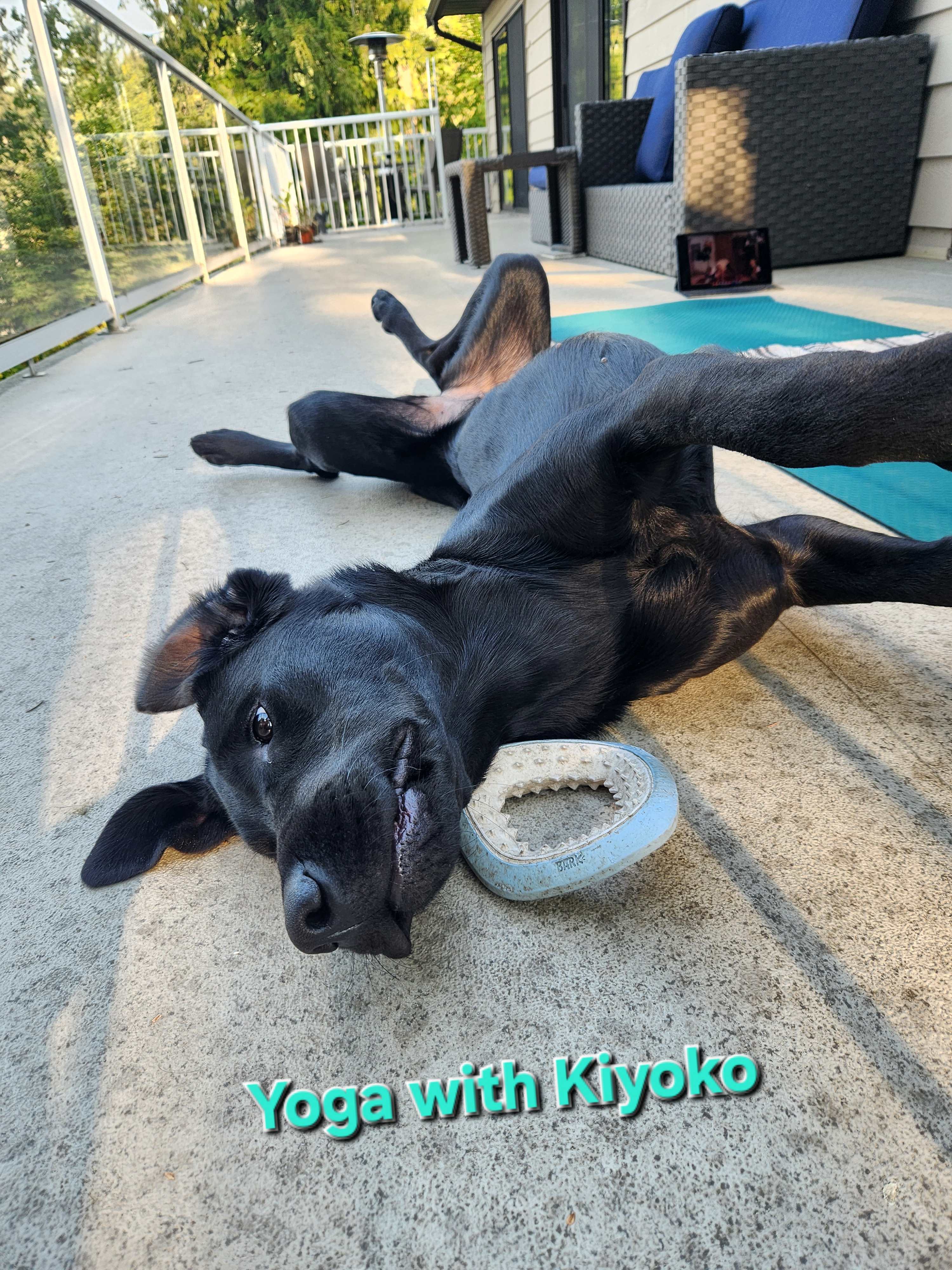 Kiyoko Sep 2025-3