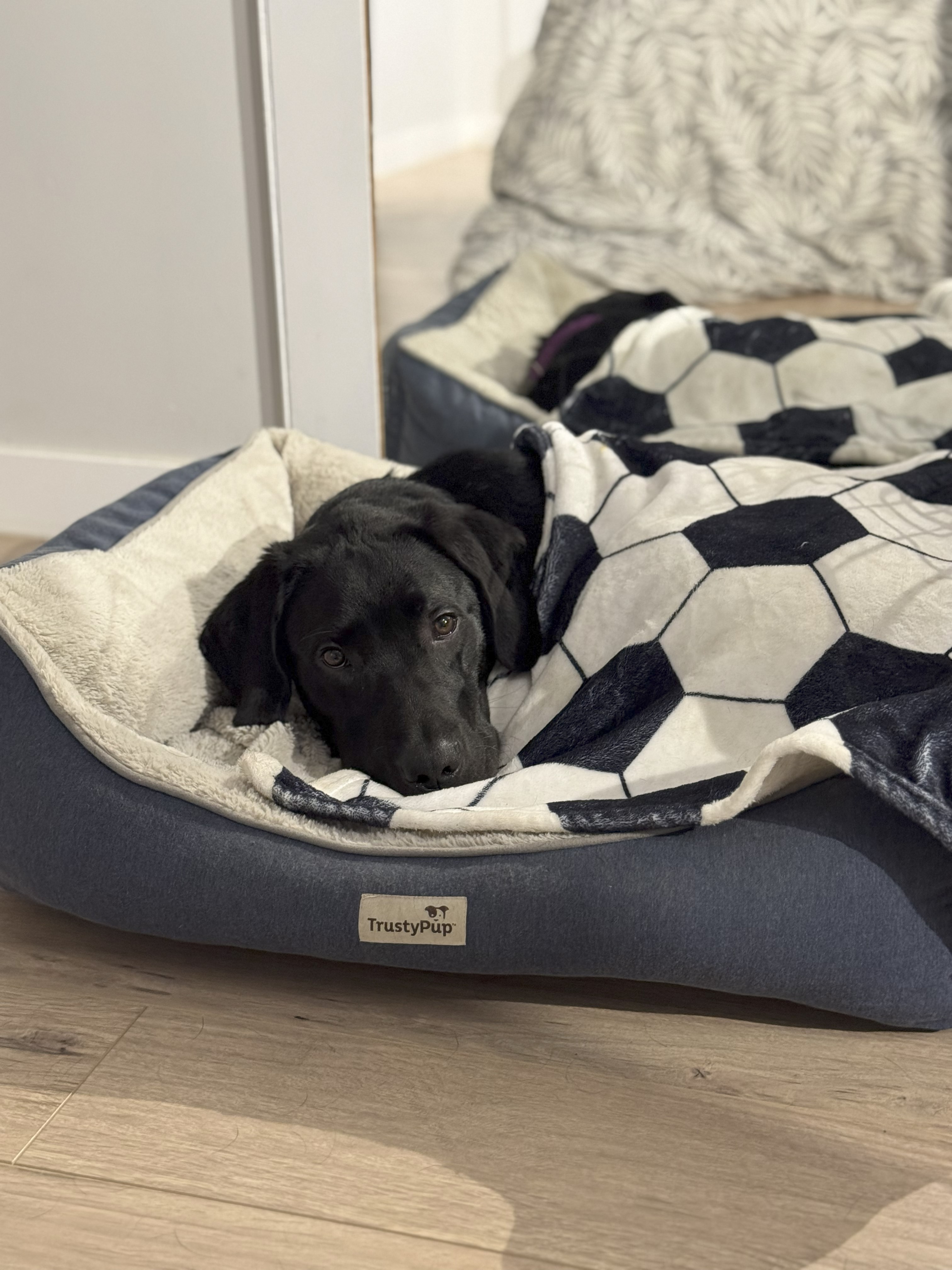Max Sept 2025