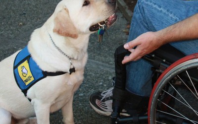 Service Dog & Hearing Dog Program Manager | Accepting Applications