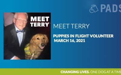 PUPPIES IN FLIGHT TERRY