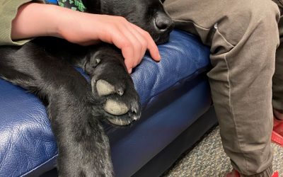 Mental Health Month with Merlot