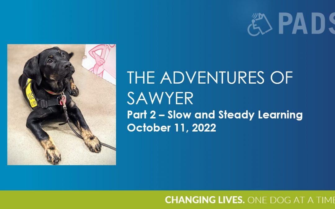 Adventures of Sawyer Part 2