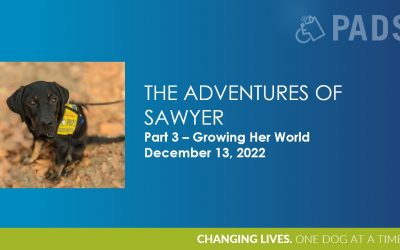 Adventures of Sawyer Part 3