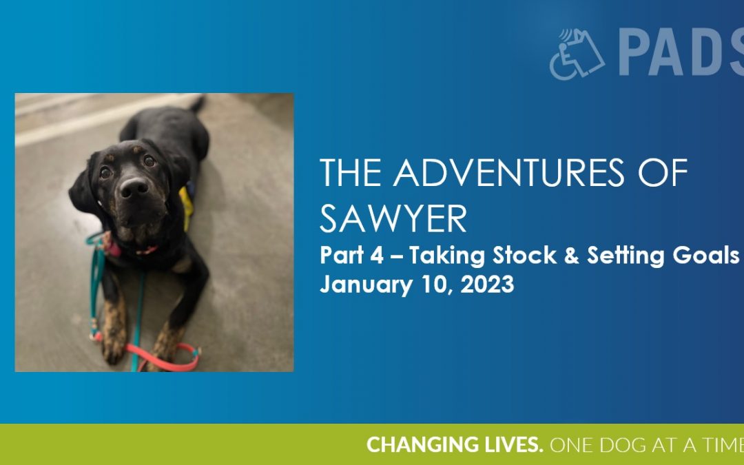 Adventures of Sawyer Part 4