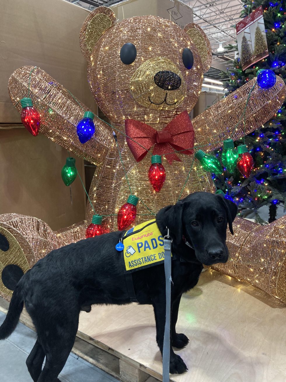 Fraser III November 2022 PADS