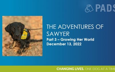 Adventures of Sawyer Part 3