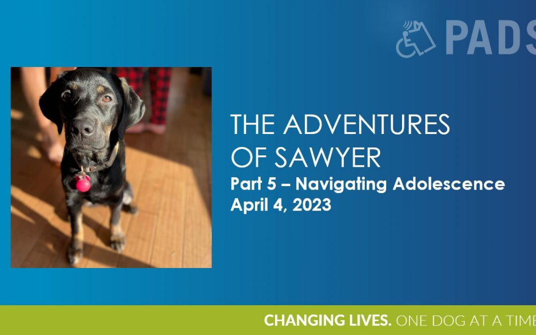Adventures of Sawyer Part 5