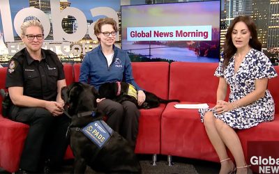 Global TV: The healing power of PADS dogs