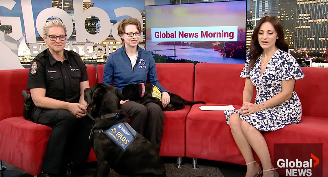 Global TV: The healing power of PADS dogs