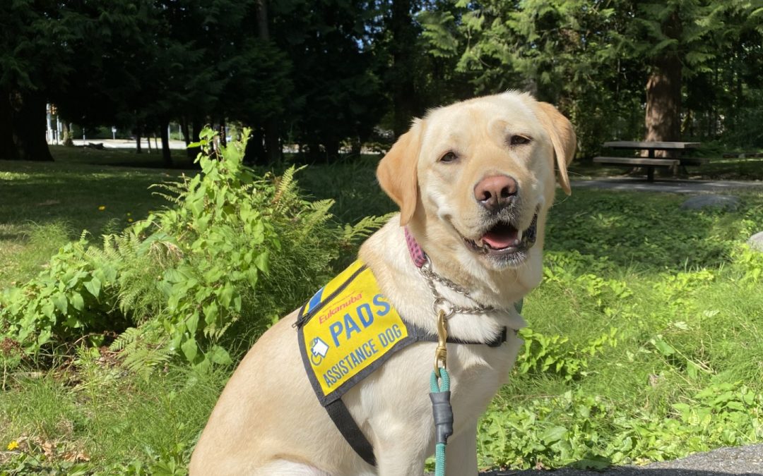 Quinn | August 2023