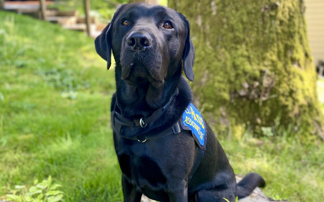 Finian | May 2025