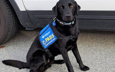 Powell River PEAK: Powell River RCMP welcome accredited justice facility dog