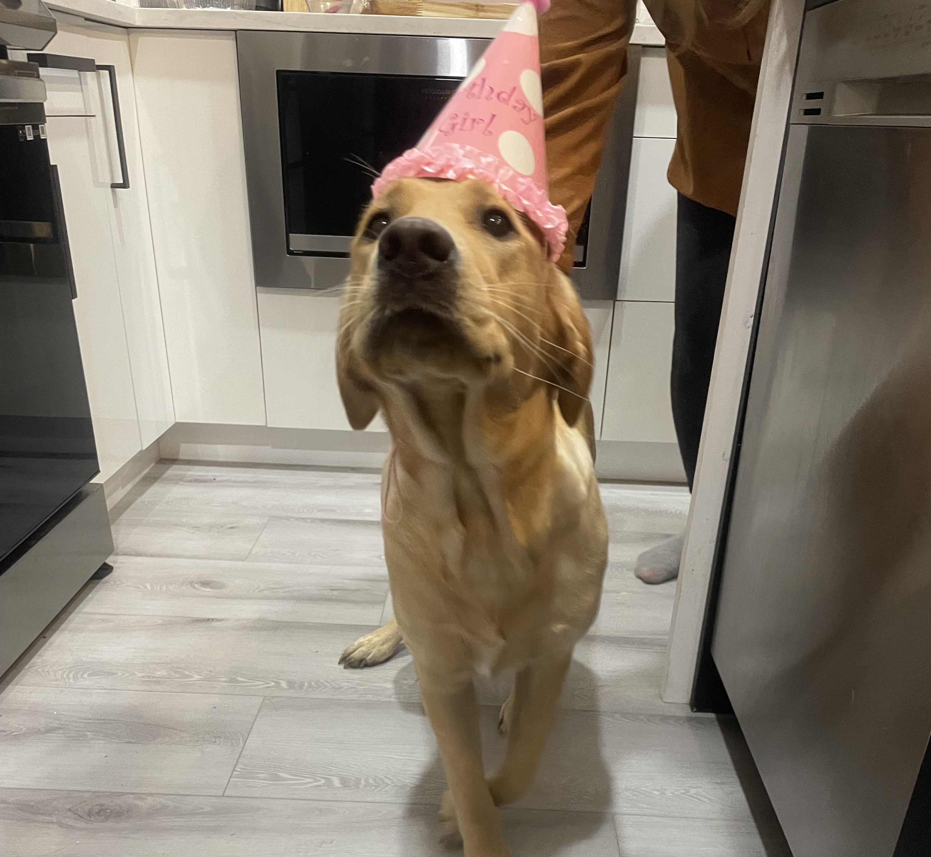 Bagel | September 2023