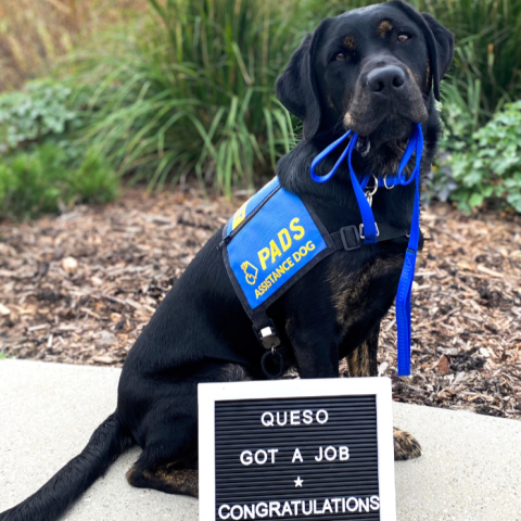 Queso | November 2023