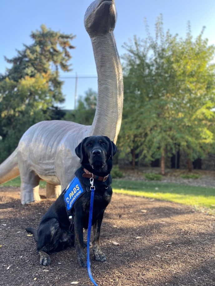 Queso | September 2023