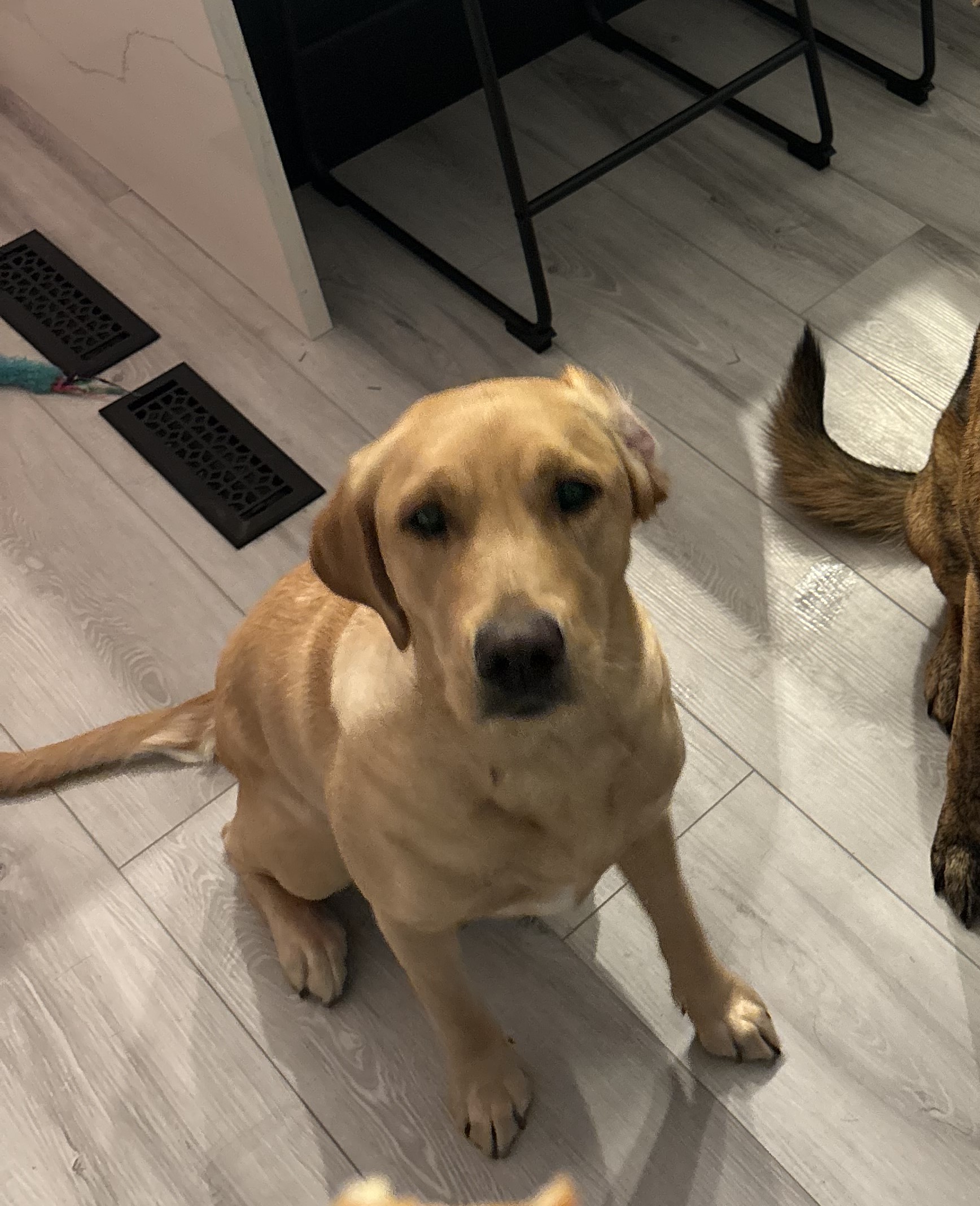 Bagel | October 2023