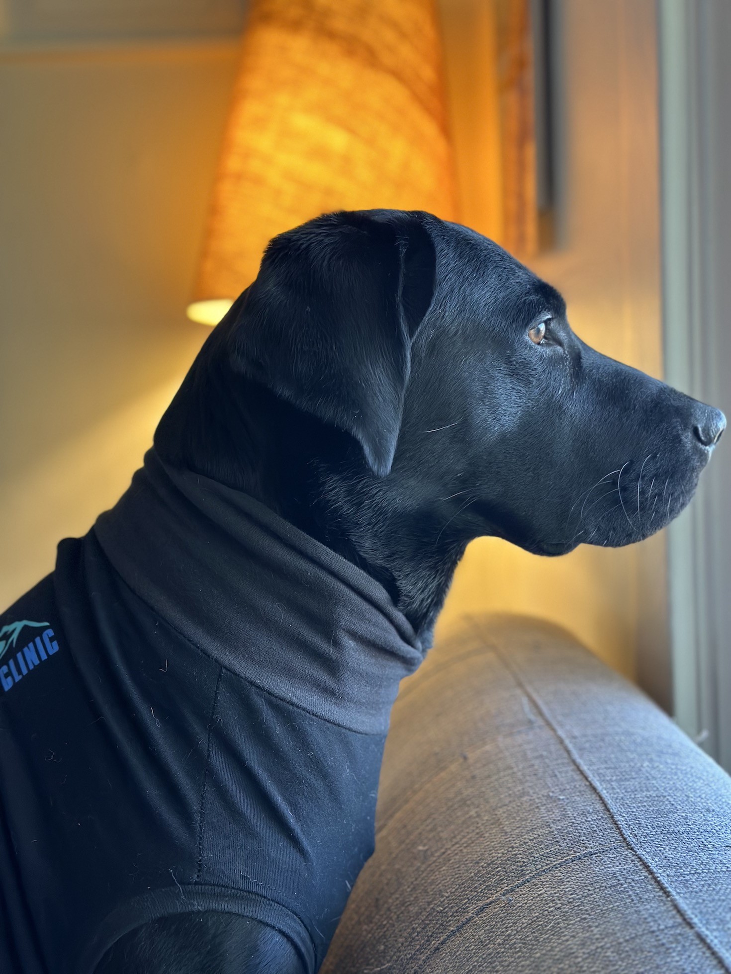 Masset | October 2023