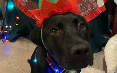 Perry | December 2023