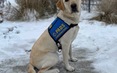 Tahsis | January 2024