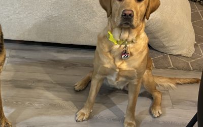 Bagel | January 2024