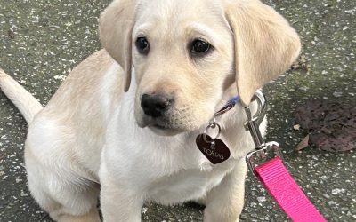 Tobias | February 2024