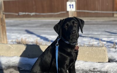 Rimbey | February 2024