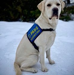 Brinks | February 2024