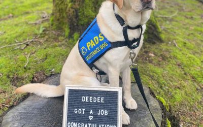 DeeDee | April 2024
