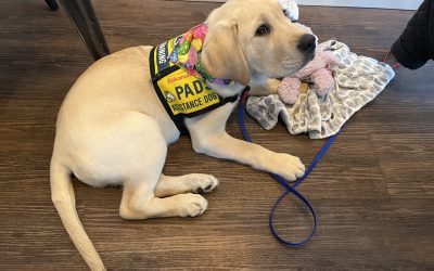 Digby | March 2024